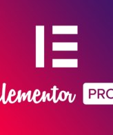 Elementor Pro Lifetime Access