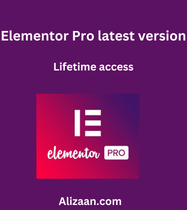 Elementor Pro