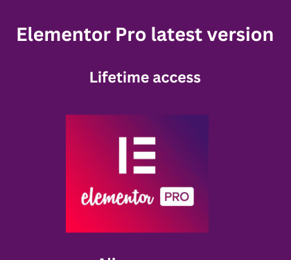 Elementor Pro