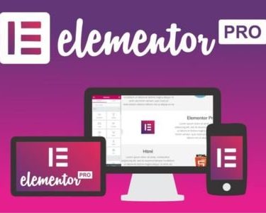 Elementor PRO Website Builder