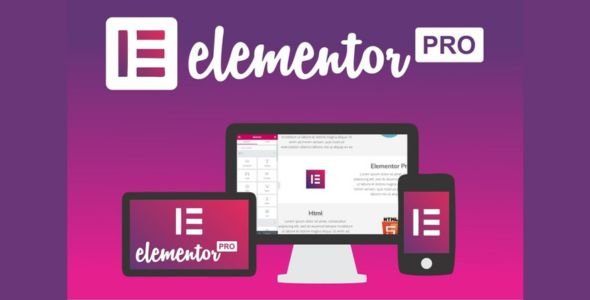 Elementor PRO Website Builder