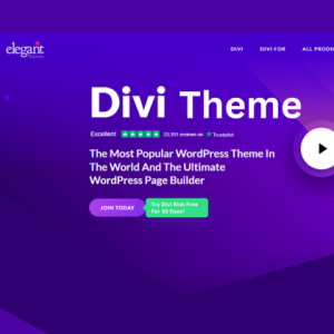 Divi theme builder