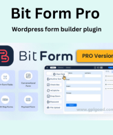 Bit Form Pro