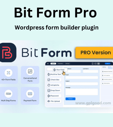 Bit Form Pro