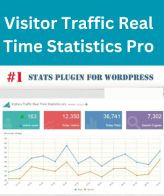 Visitor Traffic Real Time Statistics Pro