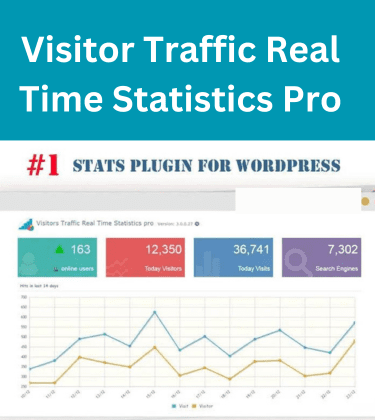 Visitor Traffic Real Time Statistics Pro