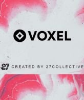 Voxel