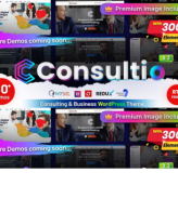 Consultio