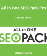 All in One SEO Pack Pro