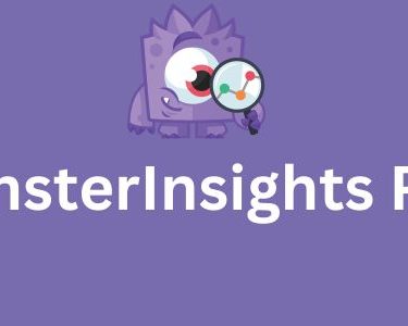 MonsterInsights PRO