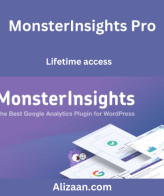 MonsterInsights Pro