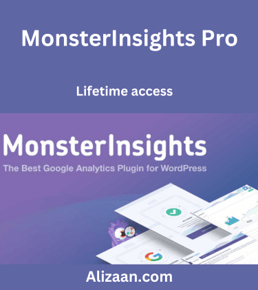 MonsterInsights Pro