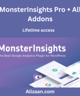 MonsterInsights Pro + All Addons