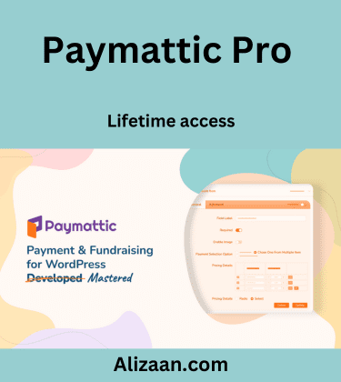 Paymattic Pro