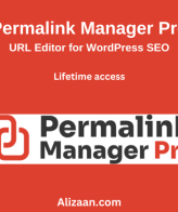 Permalink Manager Pro