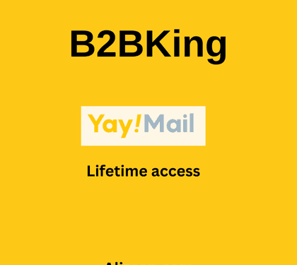 B2BKing