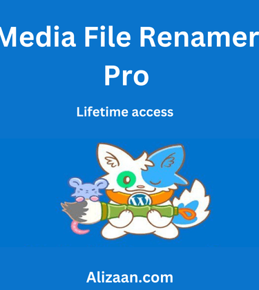 Media File Renamer Pro