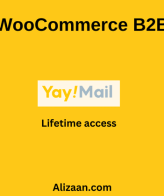 WooCommerce B2B