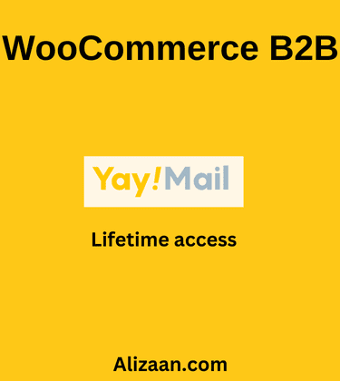 WooCommerce B2B