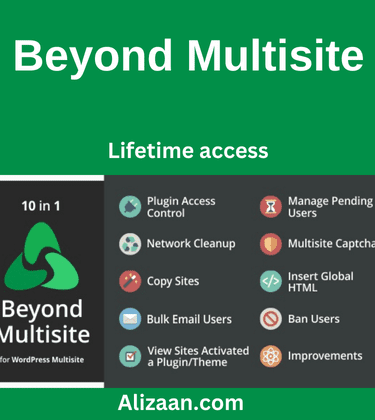 Beyond Multisite