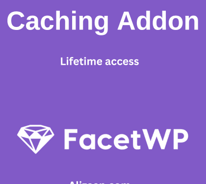 FacetWP Caching Addon