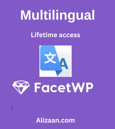 FacetWP Multilingual