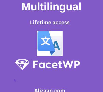 FacetWP Multilingual