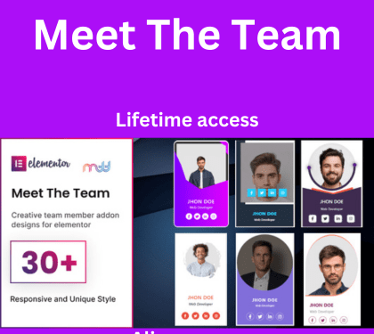 Meet The Team