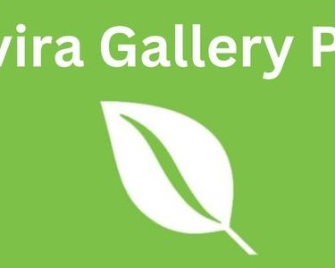 Envira Gallery PRO