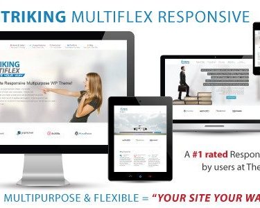 Striking - MultiFlex & Ecommerce Responsive WP Theme